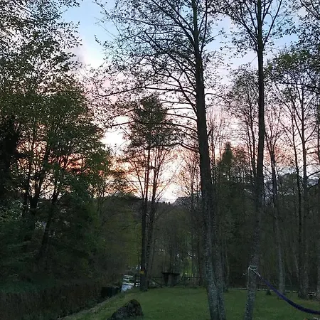 فيلة La Mora